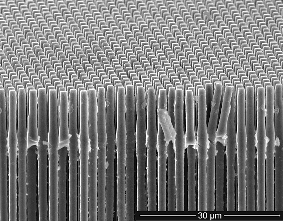 Aligned Nanorods