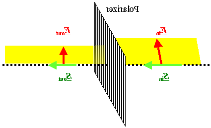 Polarization mirrored