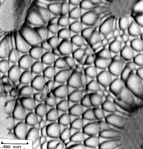 Grain boundaries in Si