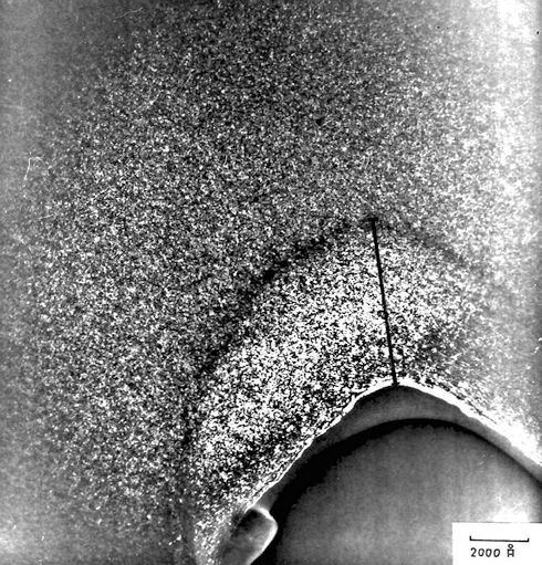 Low T irradiation Si