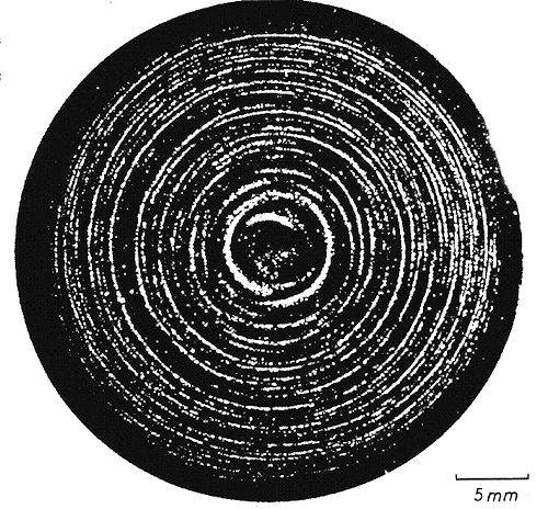 Swirl defects in Si