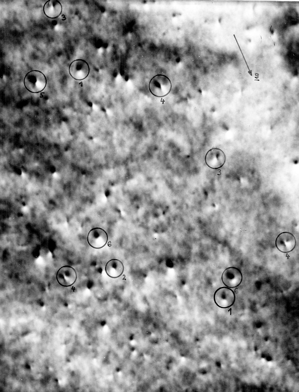 Ion radiatin damage in Co