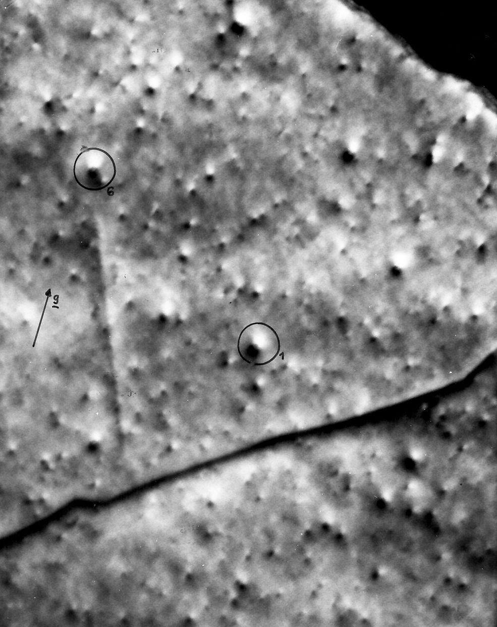 Ion radiatin damage in Co