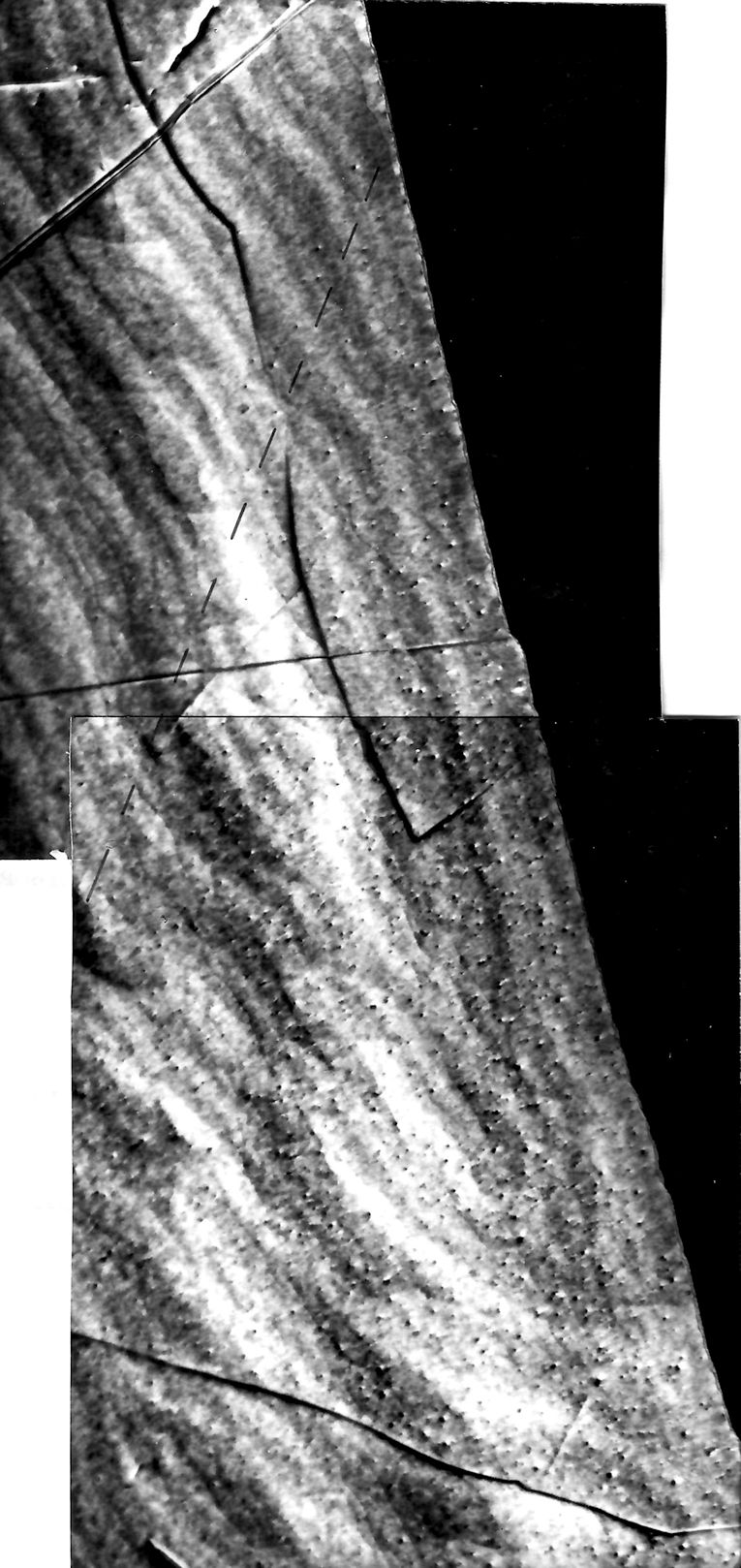 Radiation danage in Co