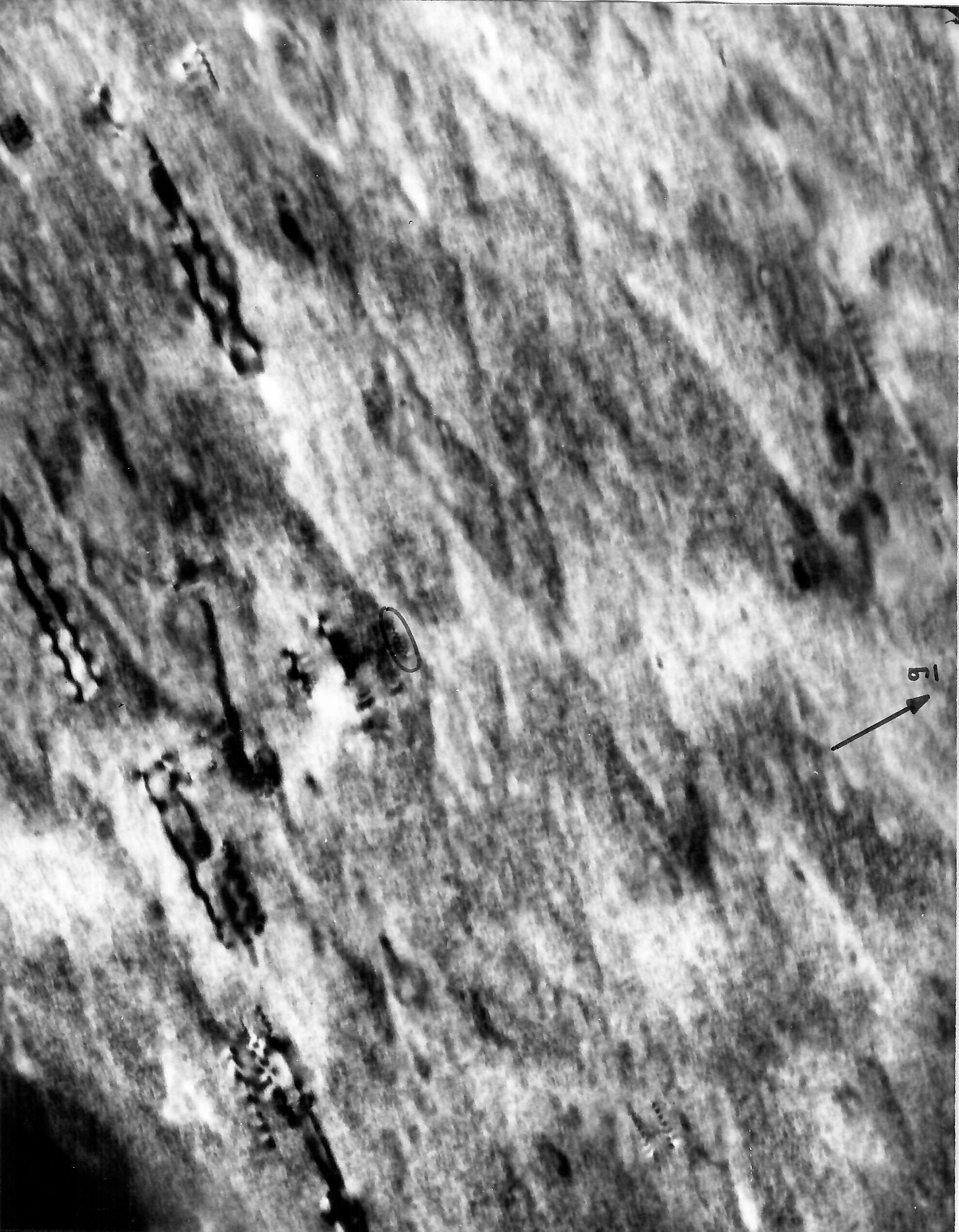 Radiation damage in Co