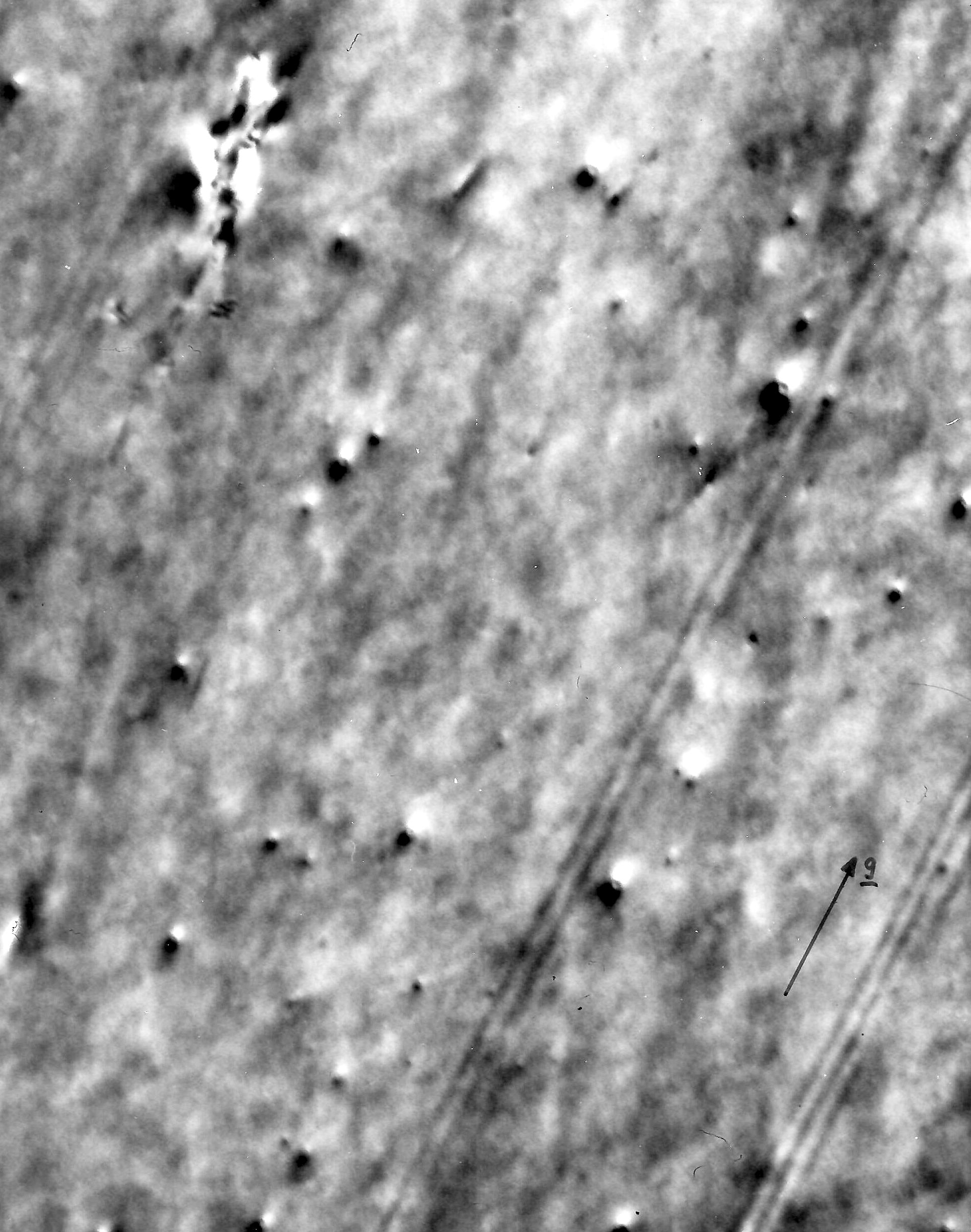 Radiation damage in Co