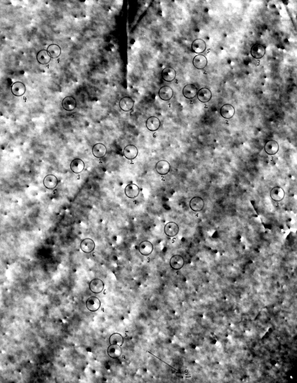 Radiation danage in Co