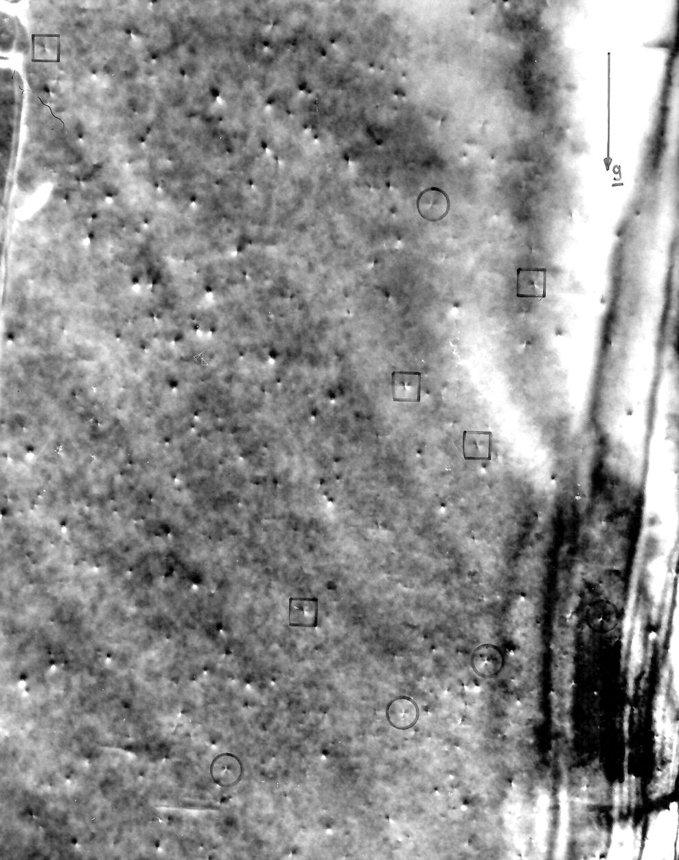 Radiation danage in Co