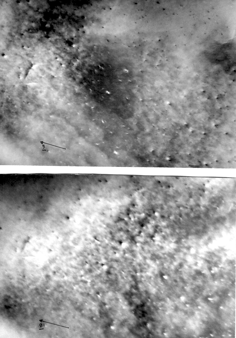 Radiation danage in Co