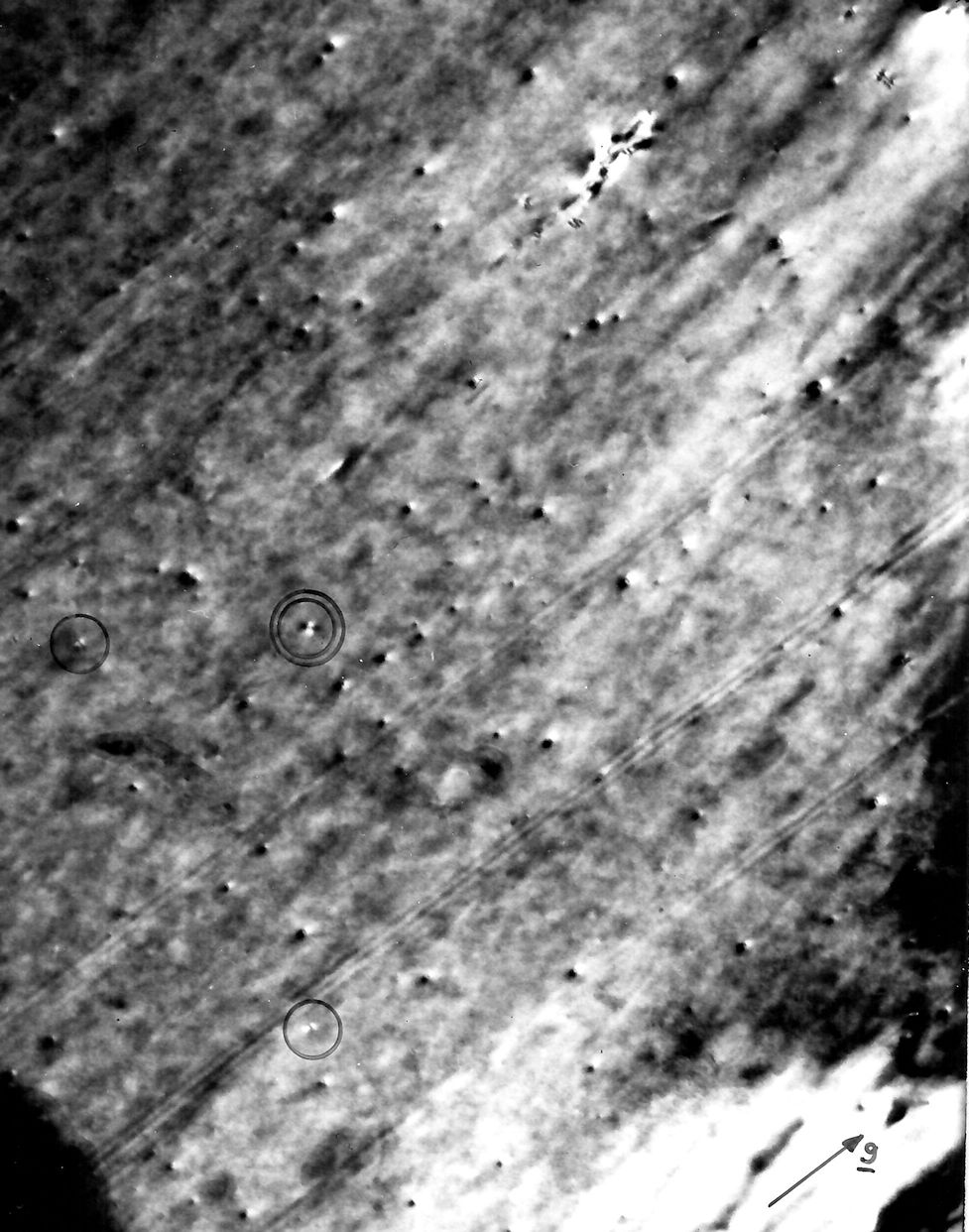 Radiation danage in Co