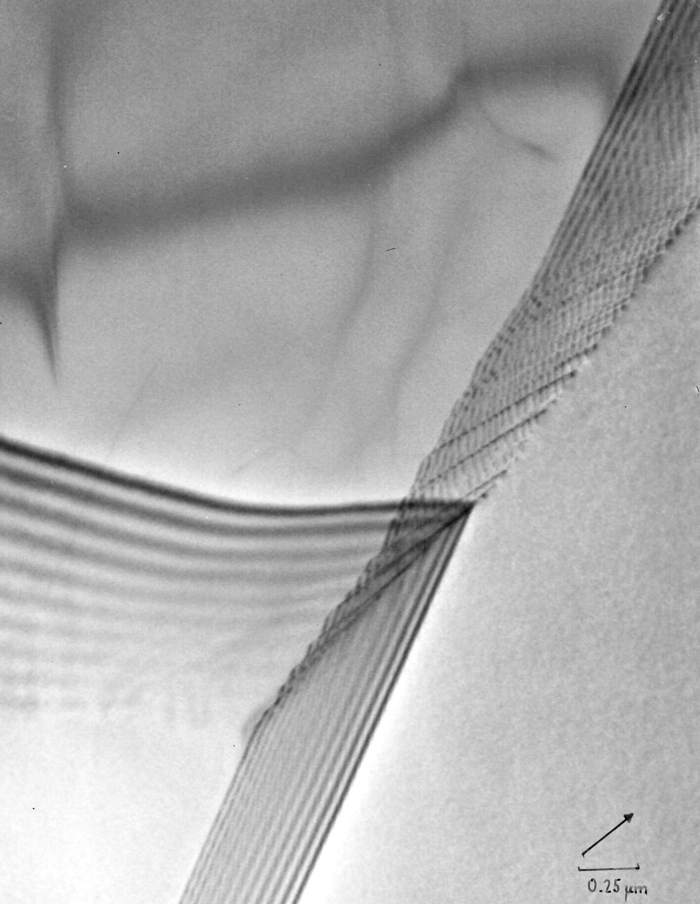 Defects in EFG ribbons