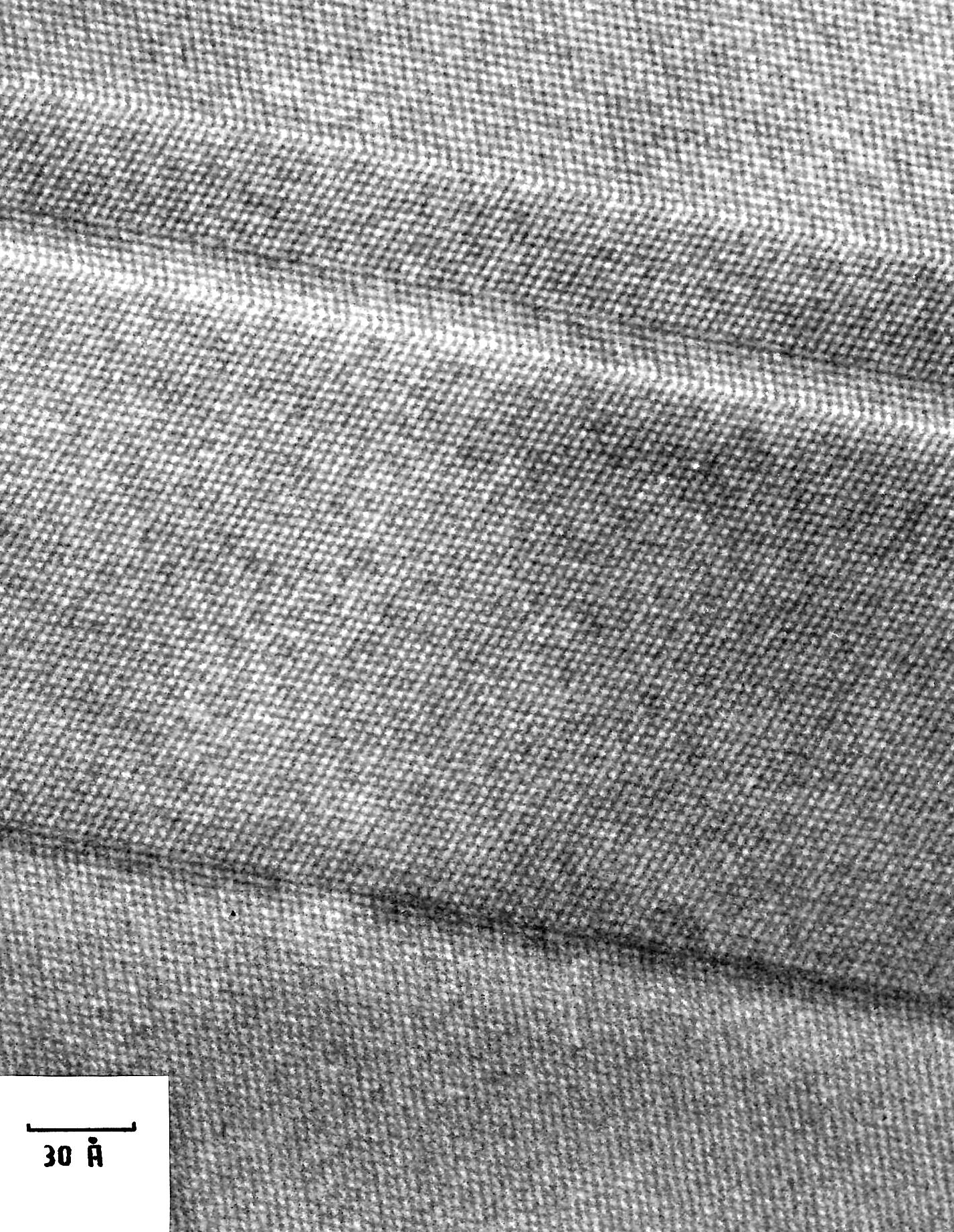Defects in EFG ribbons