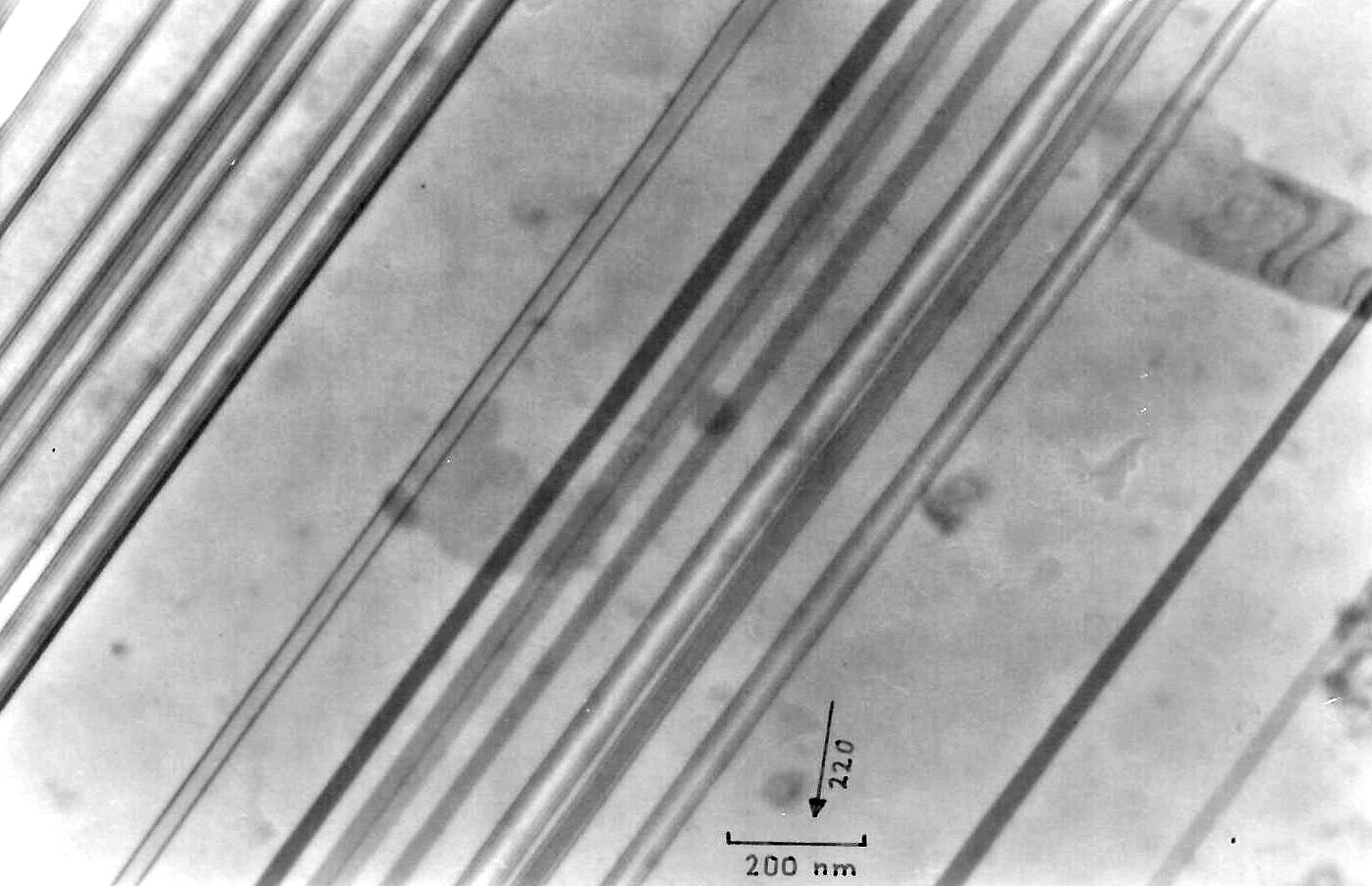 Defects in EFG ribbons