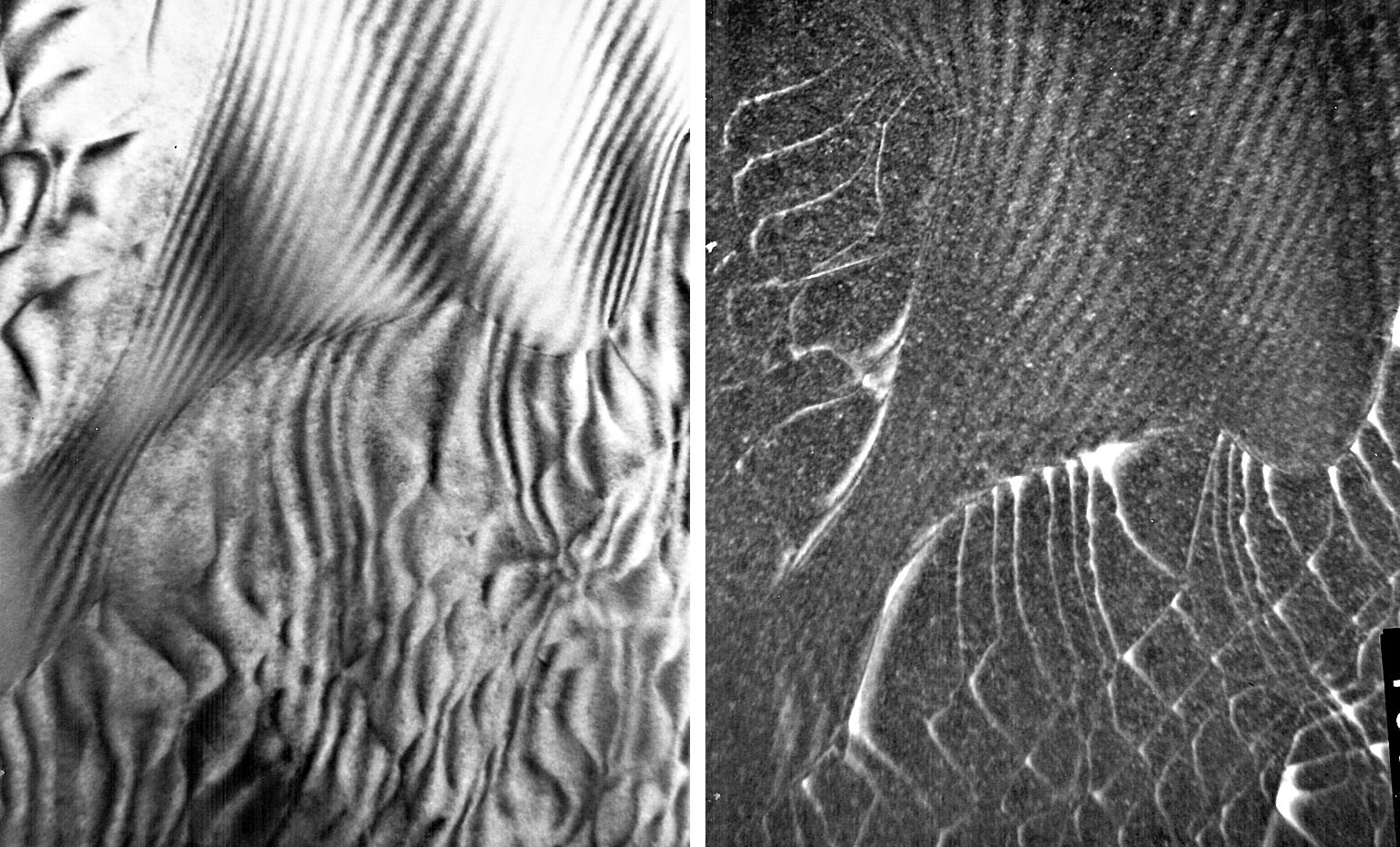 Grain boundaries in Si