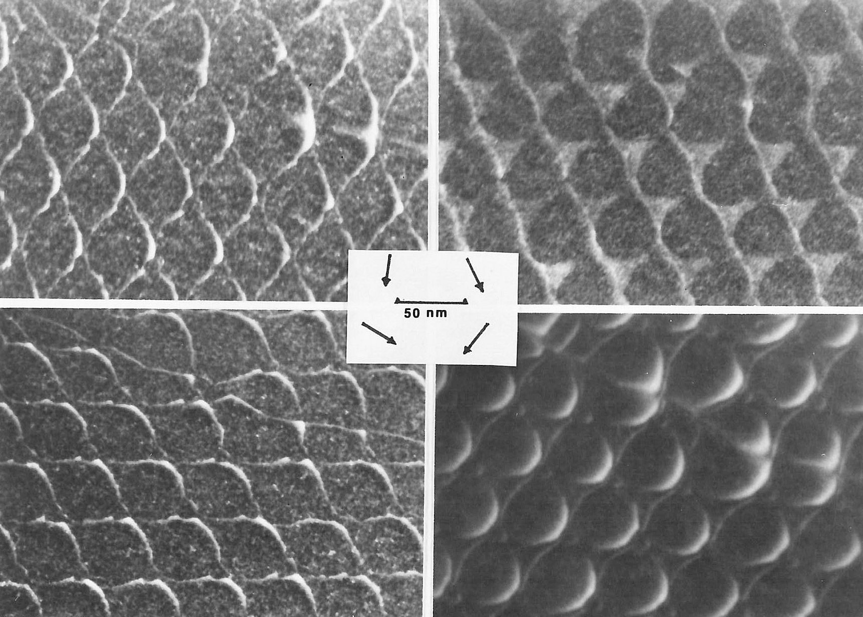 click to enlarge size Grain boundaries in Si