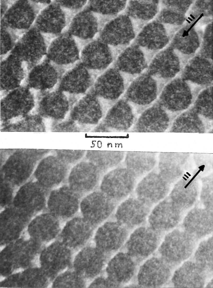 Grain boundaries in Si