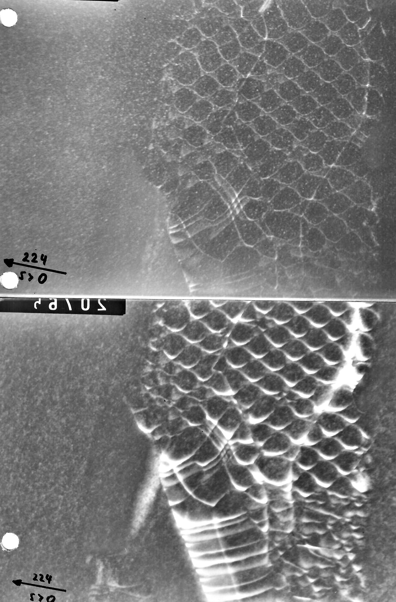 click to enlarge size Grain boundaries in Si