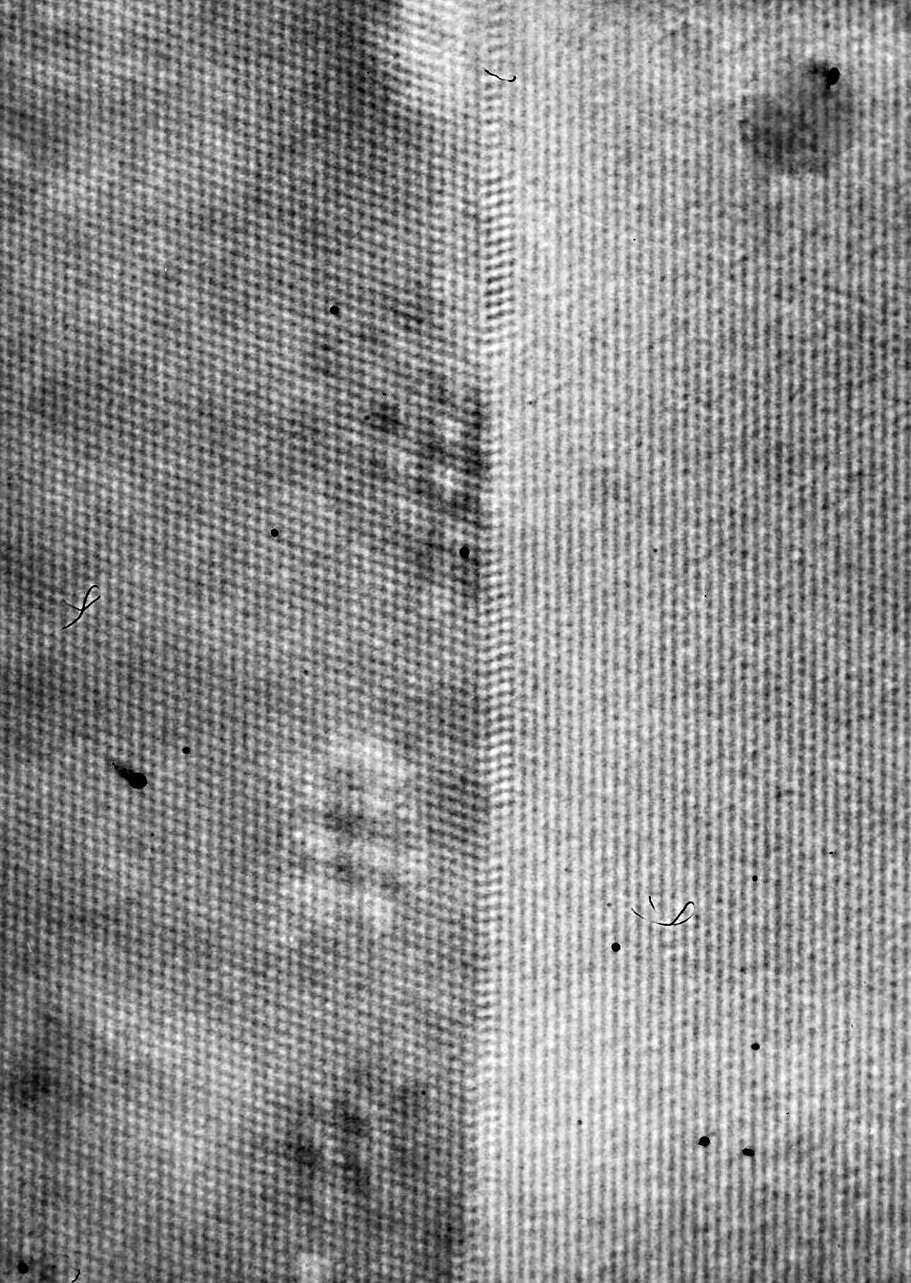 Grain boundaries 
in Si; HRTEM