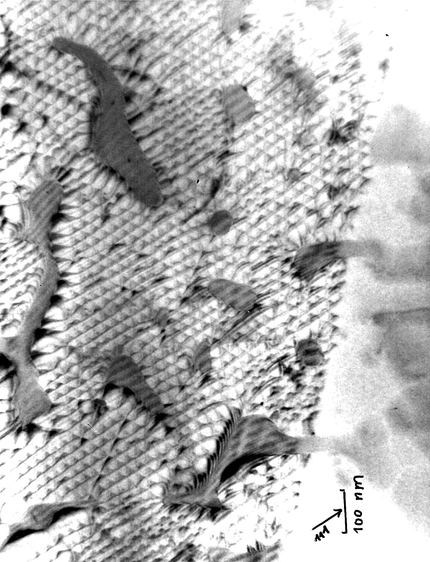 Grain boundary in Si