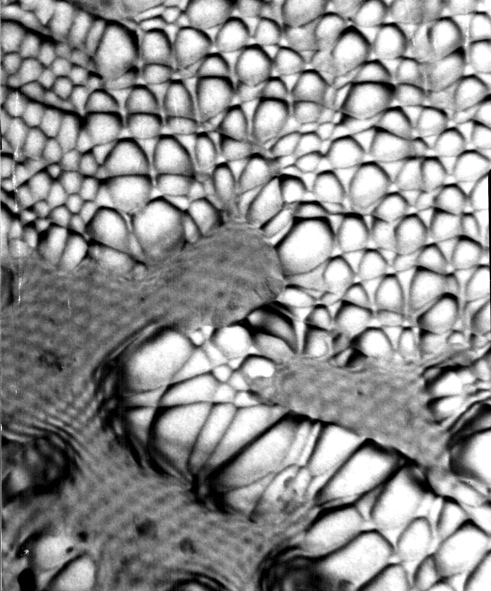 Grain boundary in Si