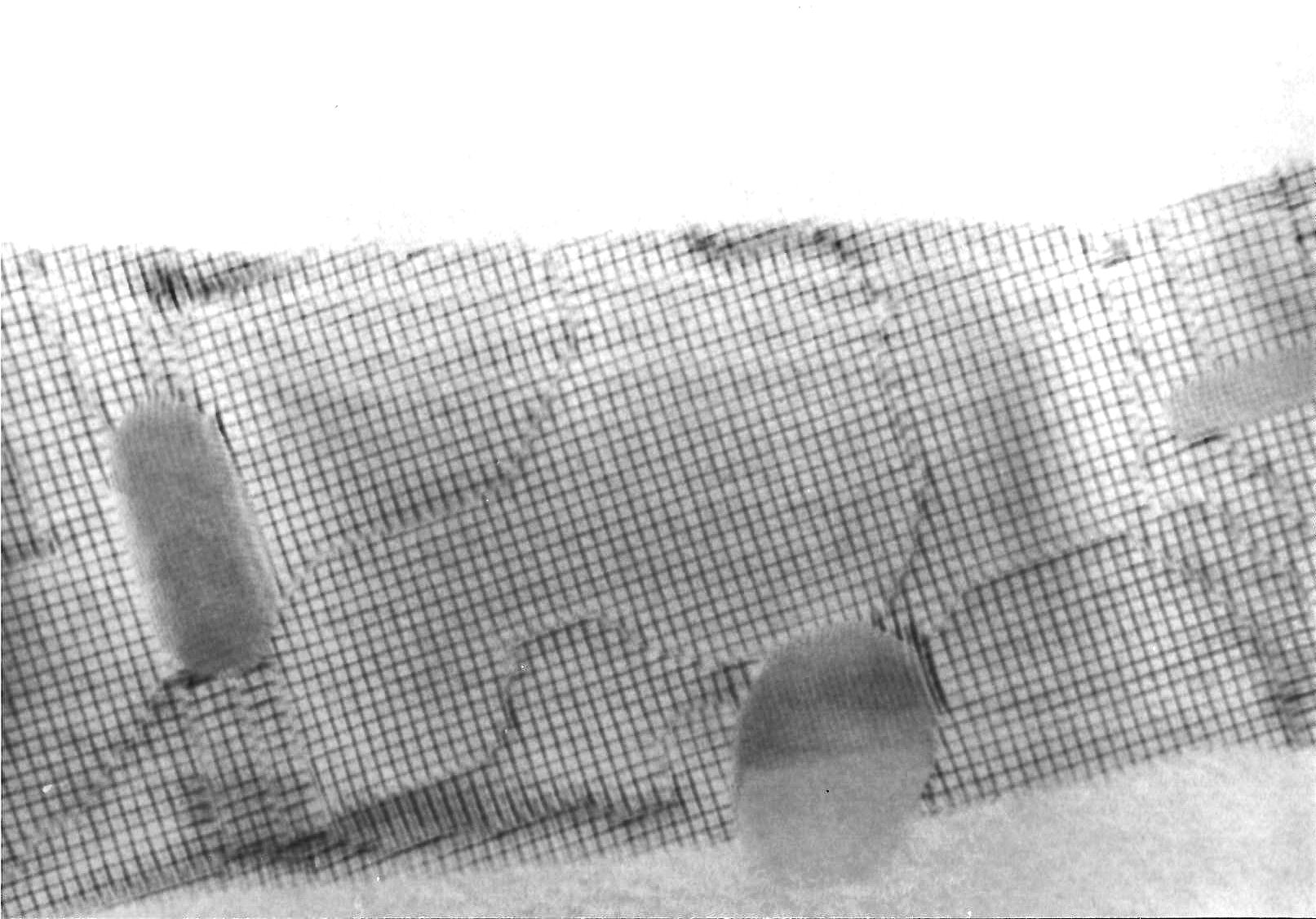 Grain boundary in Si