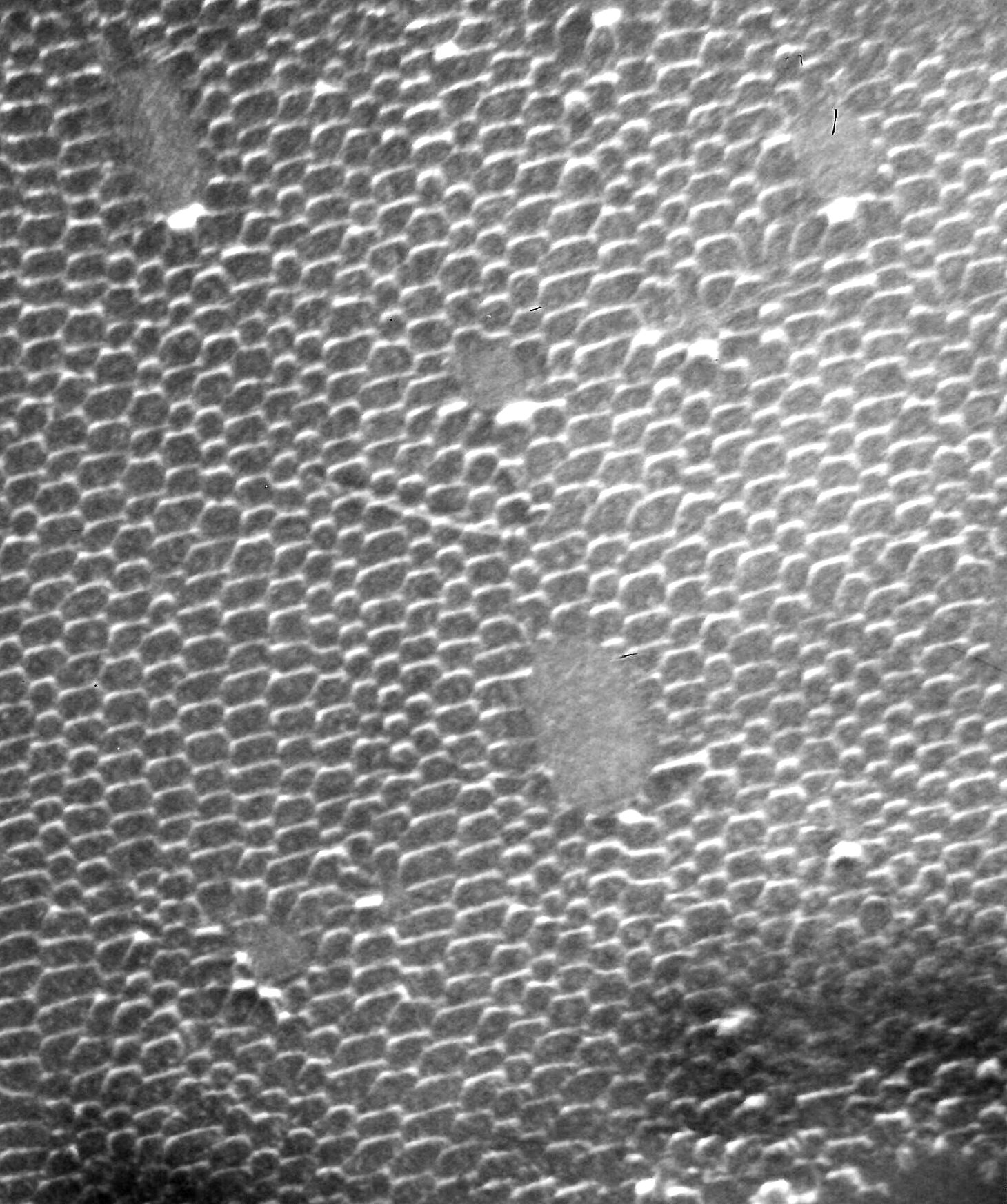 Grain boundary in Si