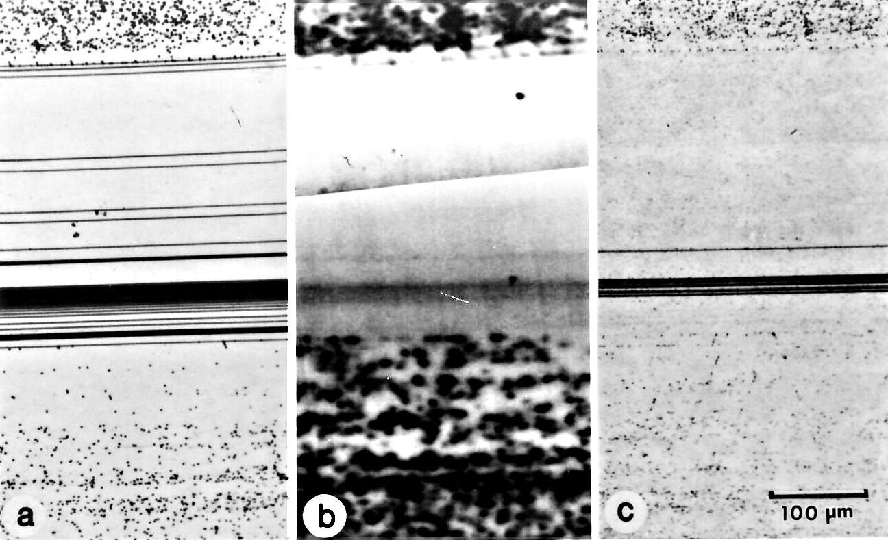 Anodic defect ertching in Si