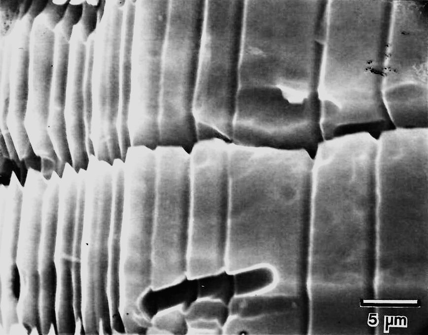 Anodic defect ertching in Si