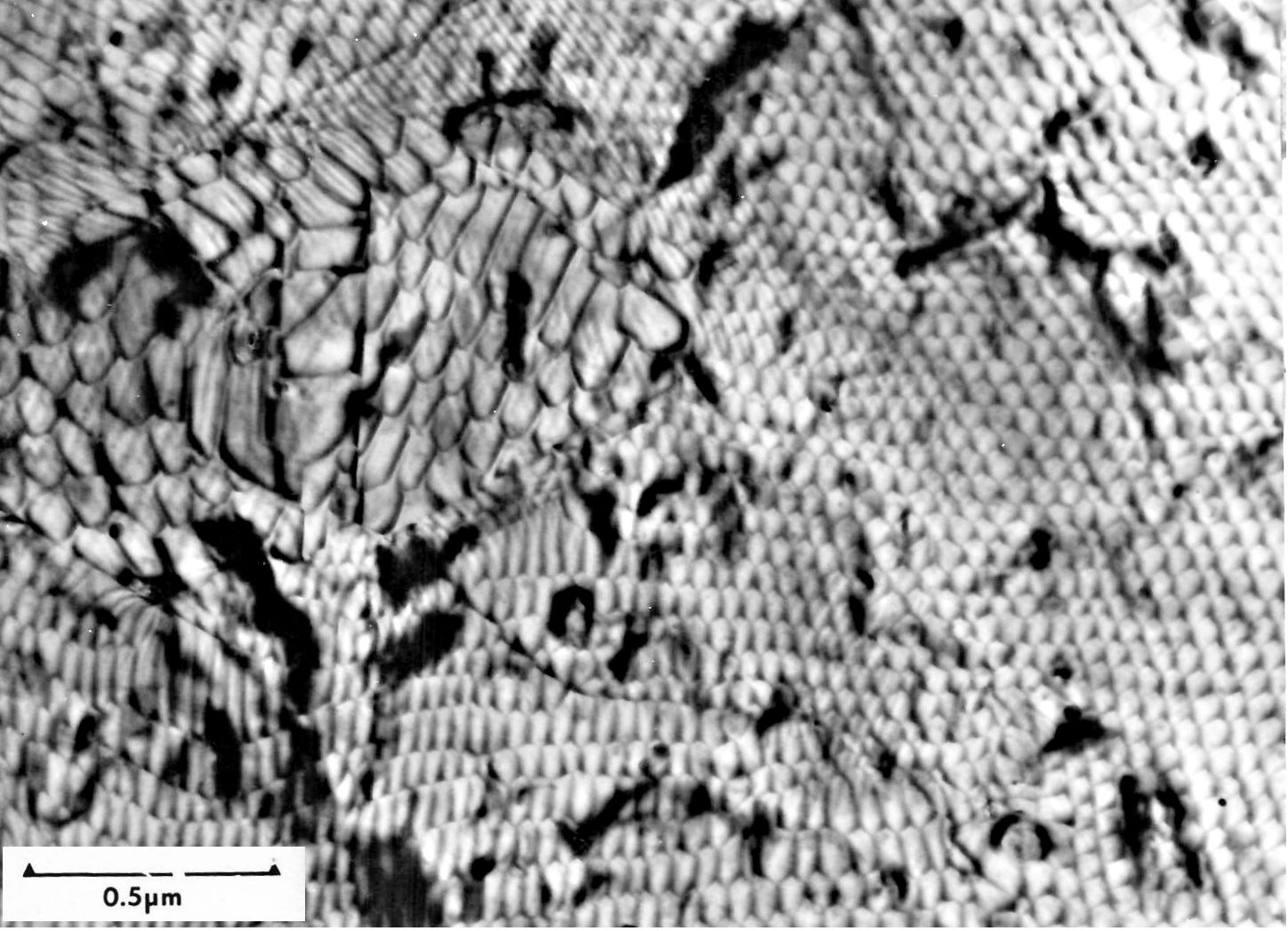 Si - silicide interface TEM