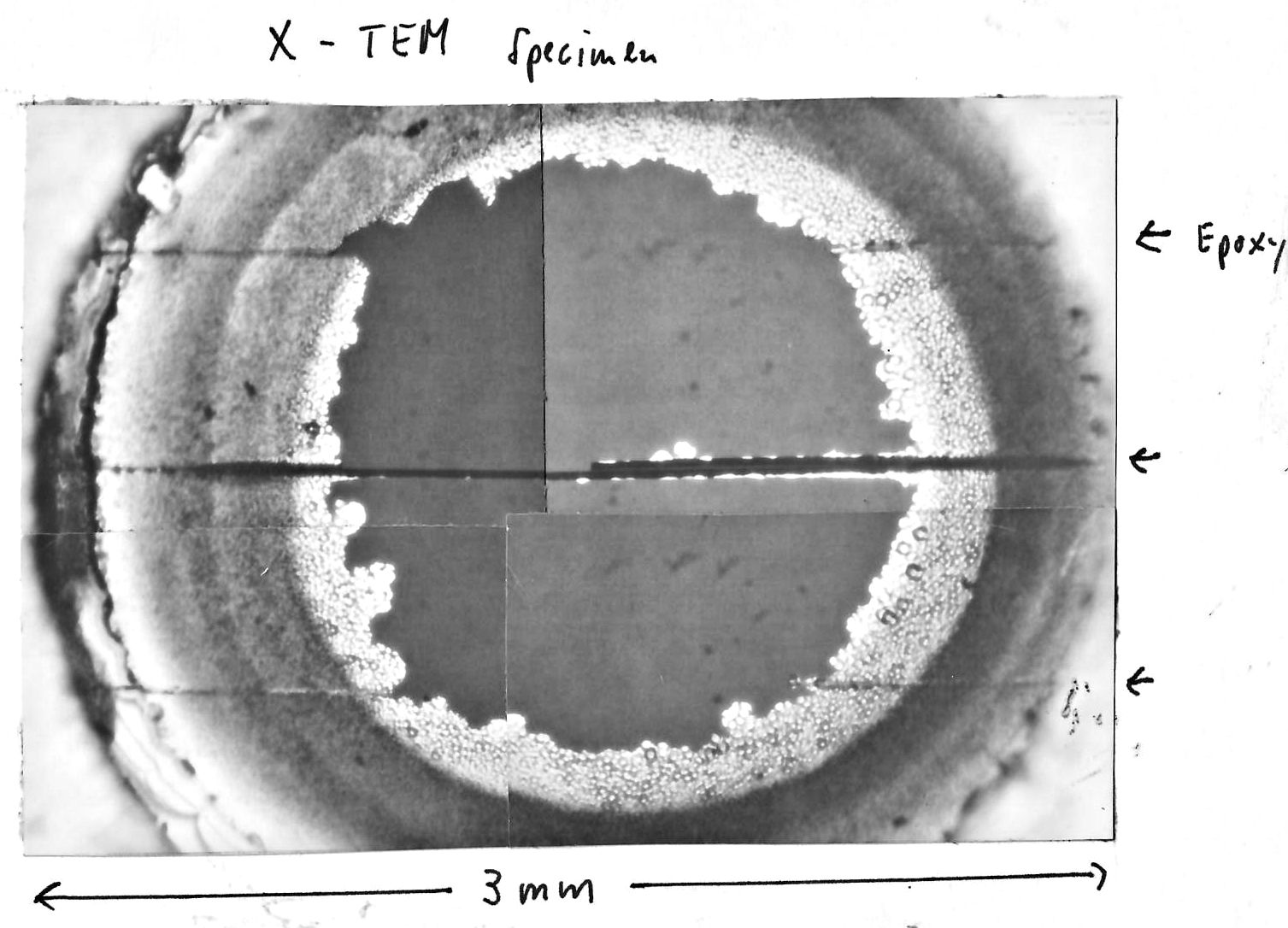 XTEM specimen
