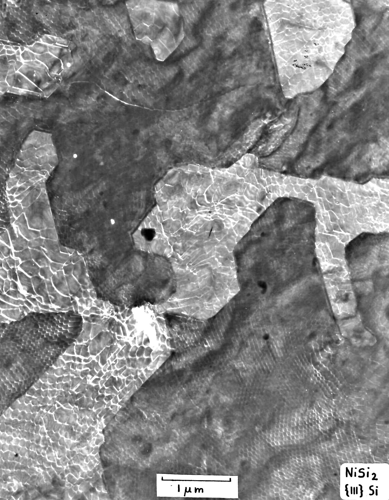 TEM Si - NiSiSi interface