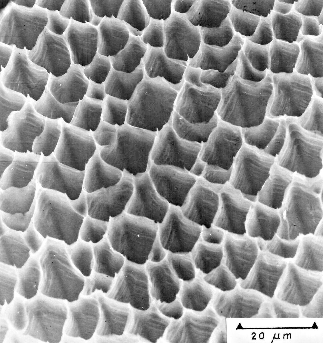 Macropore in Si; discovery