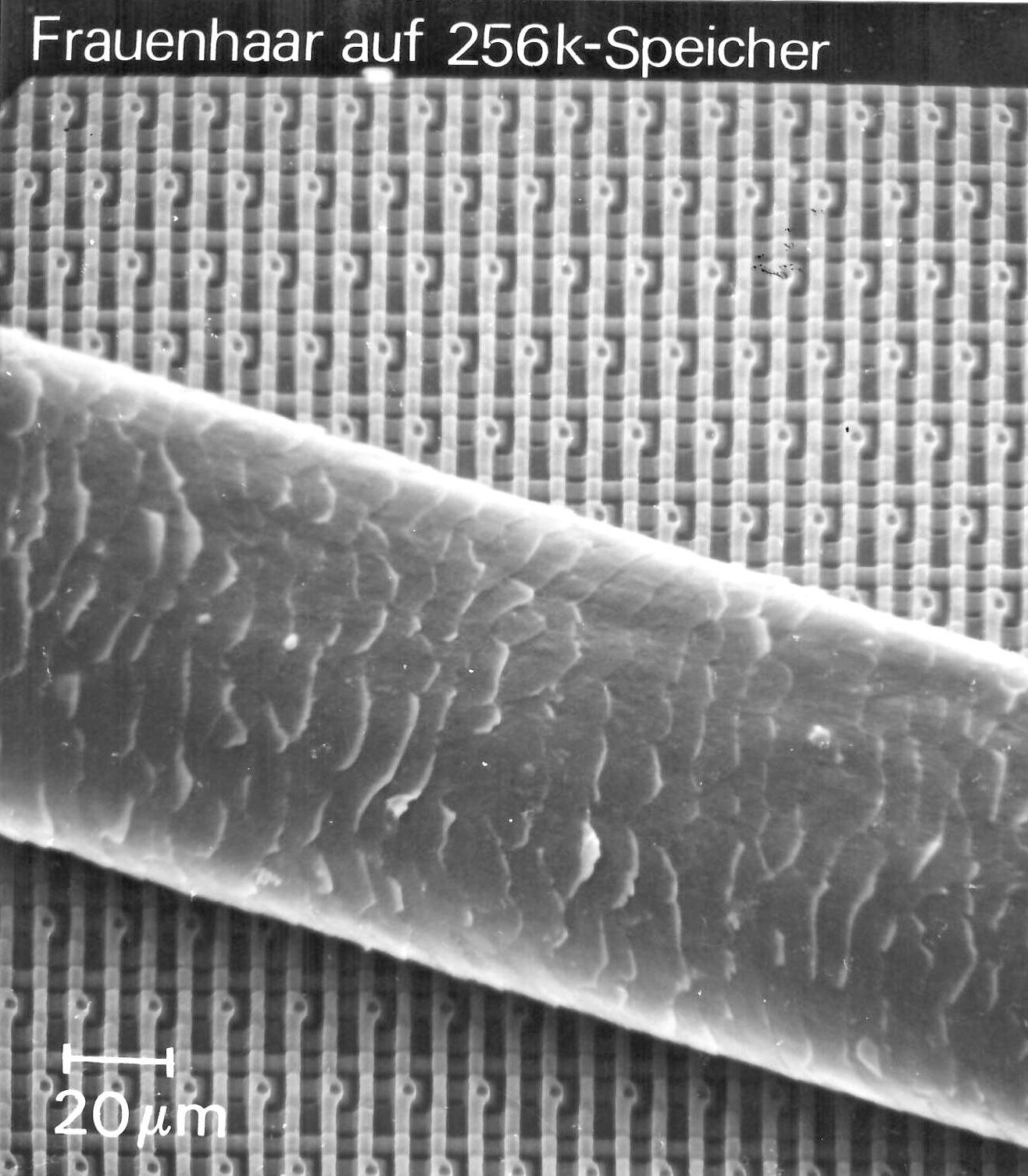 Particles on chip