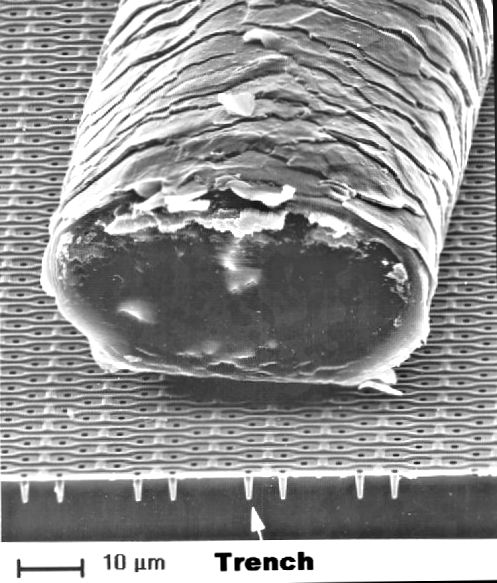 Particles on chip