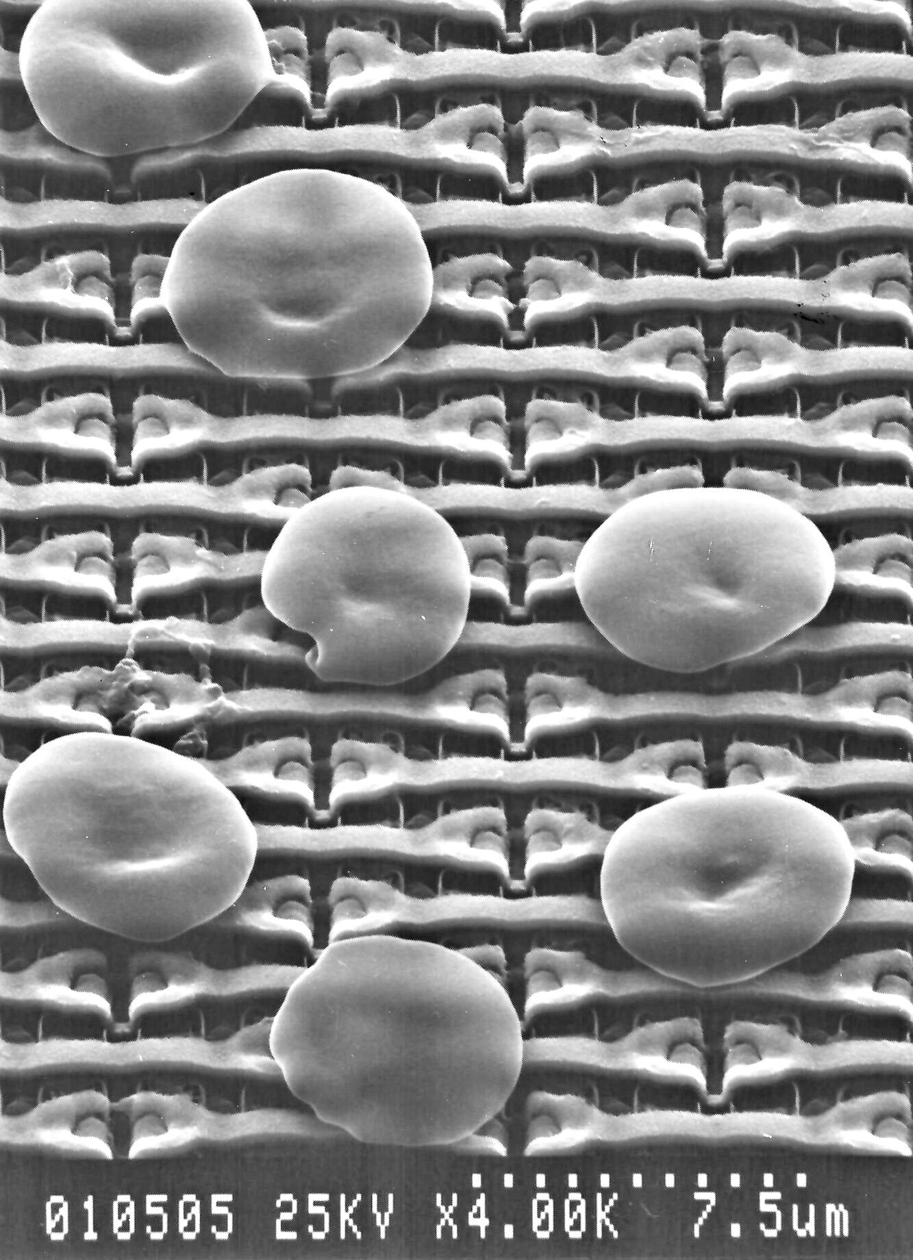 Particles on chip