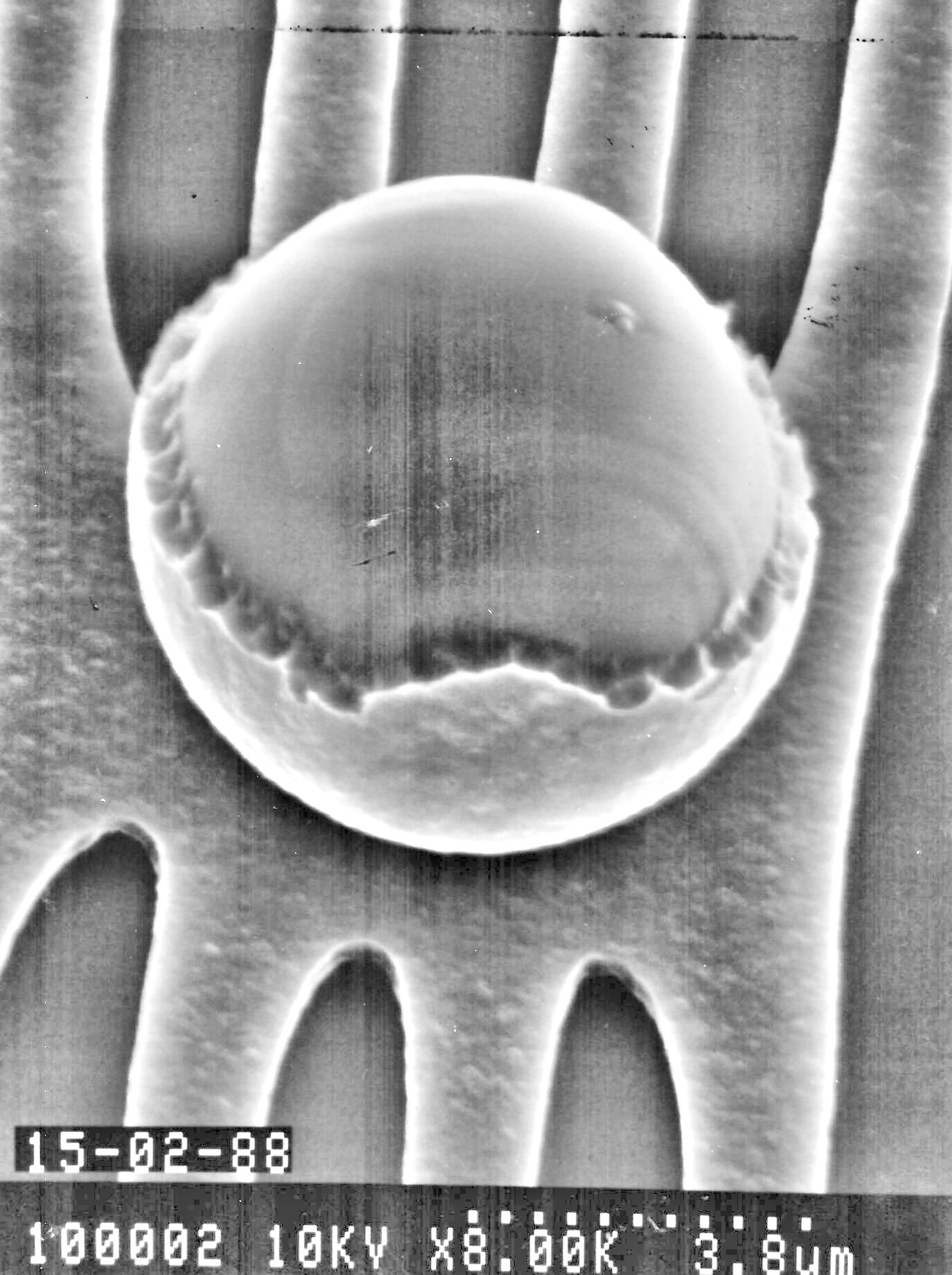 Particles on chip