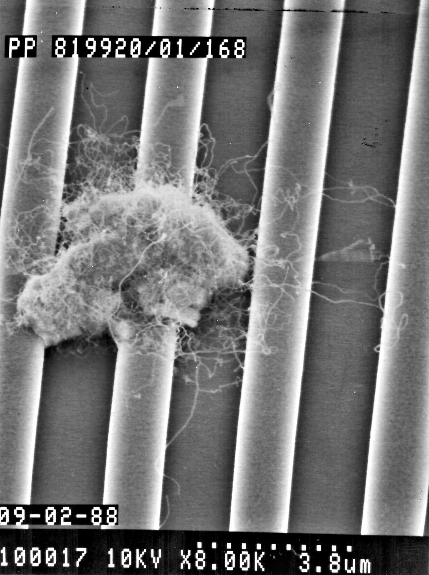 Particles on chip
