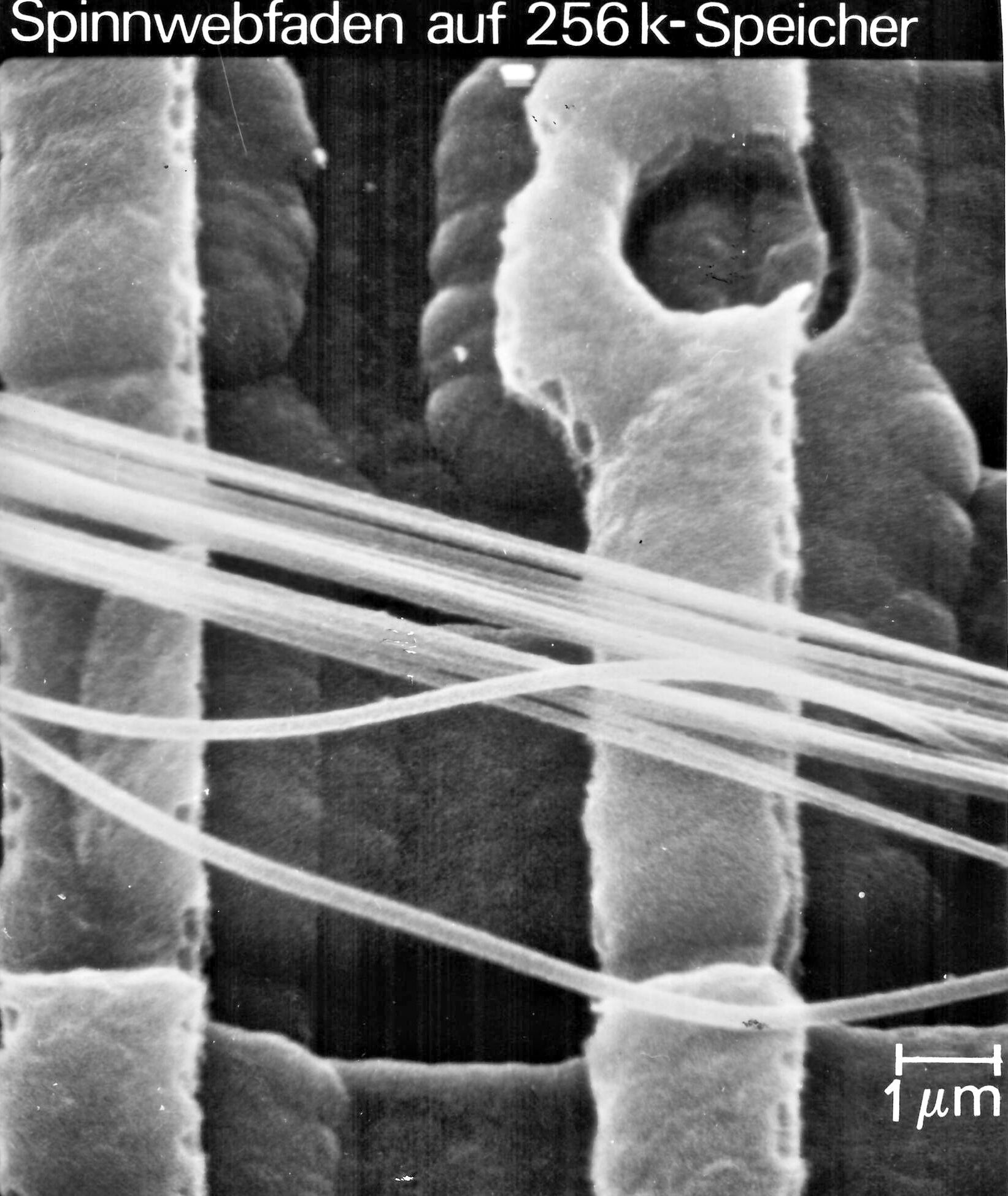 Particles on chip