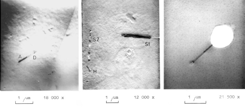 FeSi precipitates