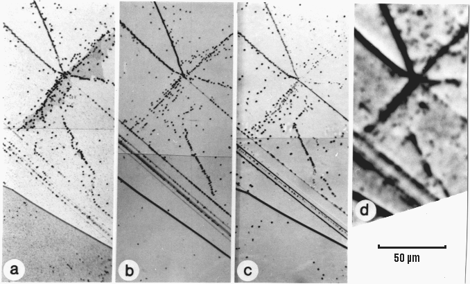 Comparison anodic etching -EBIC