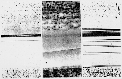 comparison anodic etching -EBIC