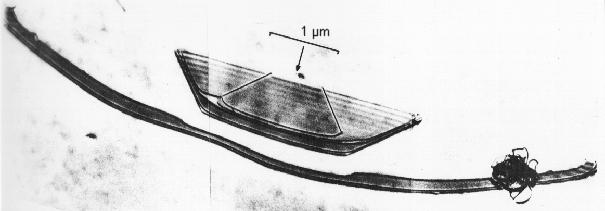 OSF fromsurface oxidation