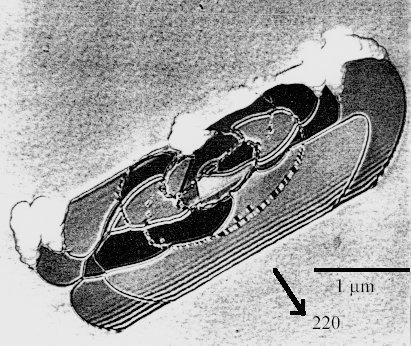 Stacking fault loops