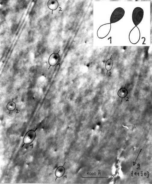 Radiation damage inCo2