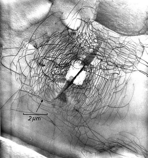 Dislocation tangle