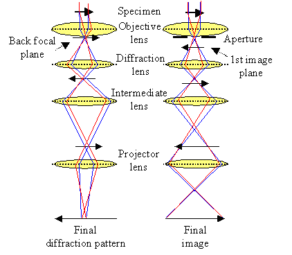 Electrooptical system of a TEM