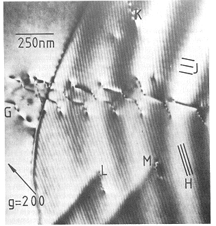 dislocations in a sigma 41 boundary