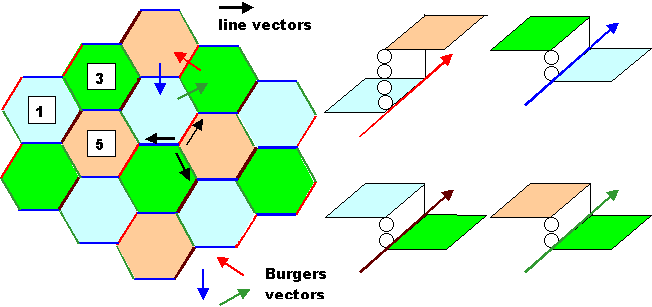 Steps and dislocations in misfit network