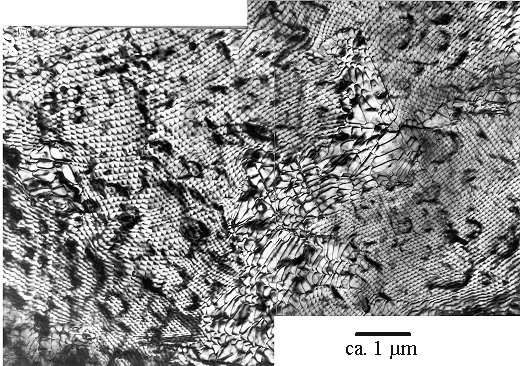 Dislocation network inthe Si -Nidisilicide interface