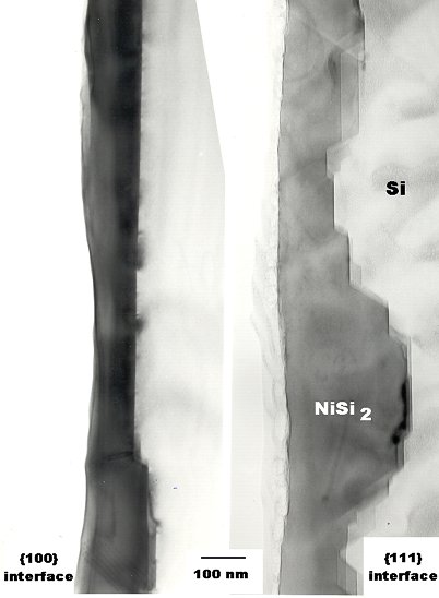 Faceting inSi Nidisilicide interfaces